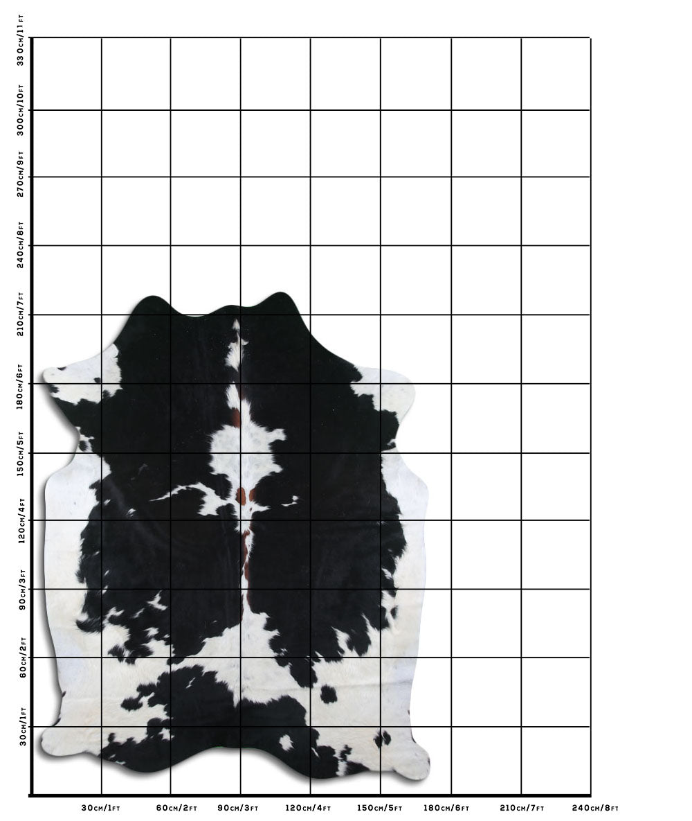 Zwart/Witte Koeienhuid