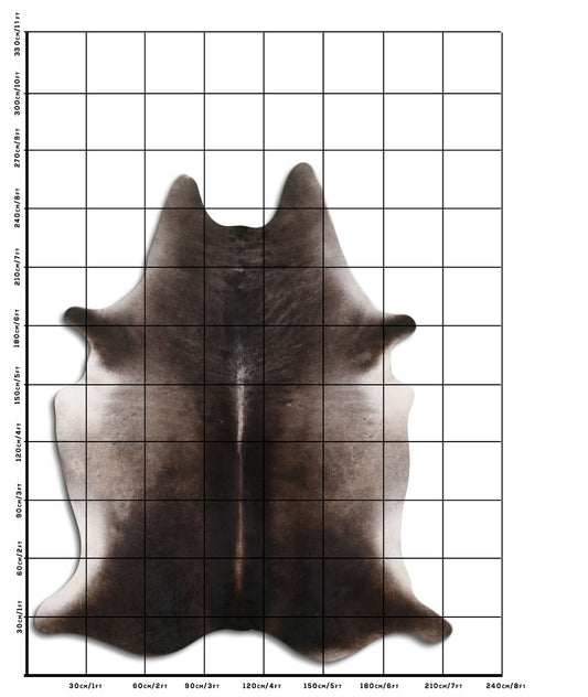 Tornasol / Roodbonte Koeienhuid