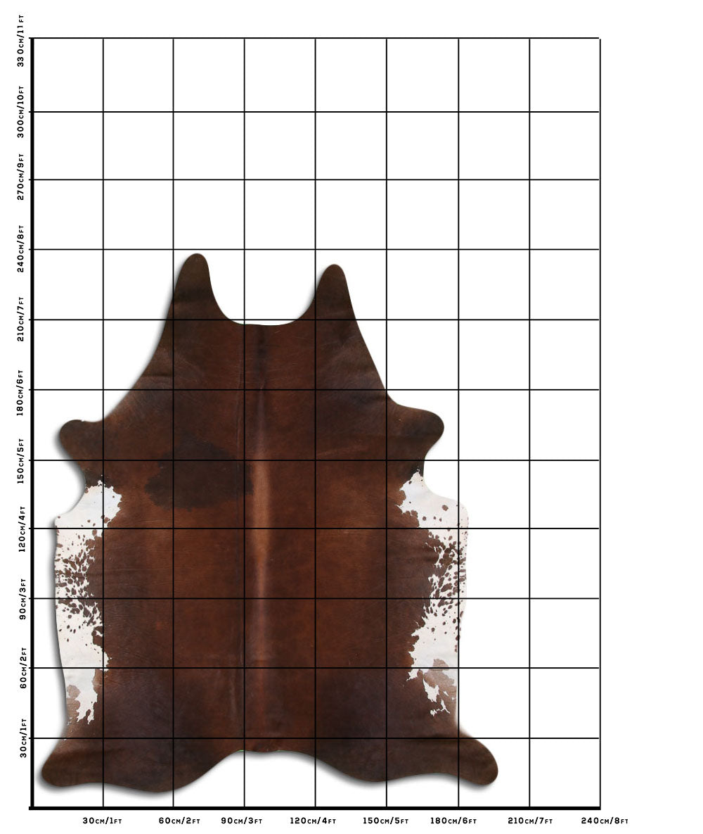 Tornasol /  Roodbonte Koeienhuid